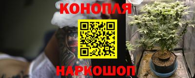 гидра Донецк